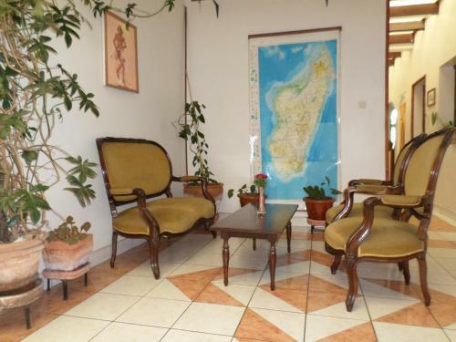 Hotel Tana-jacaranda