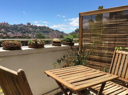 Hotel Tana-jacaranda