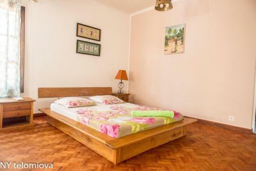 Hostal Ny Telomiova