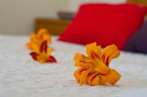 Bed & Breakfast Lorenzo Guest House