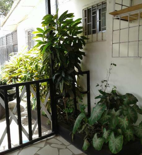 Hotel Miss Emily's Place