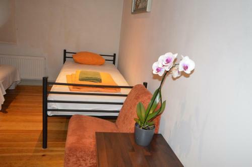Doma Hostel