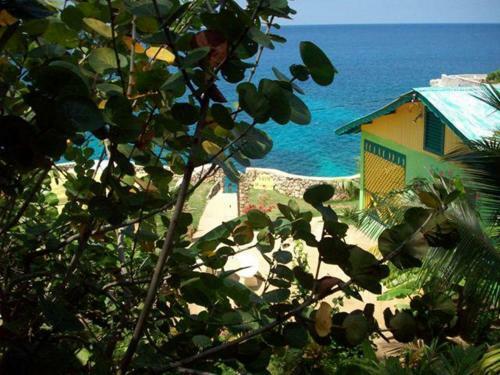 Hotel Banana Shout Resort
