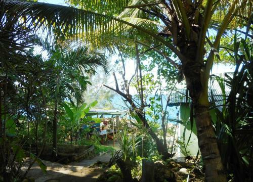 Hotel Banana Shout Resort