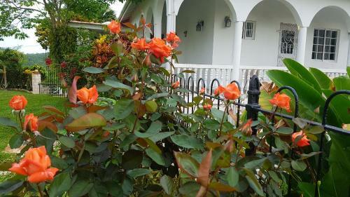 Posada Geddes Great House
