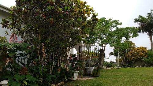 Posada Geddes Great House