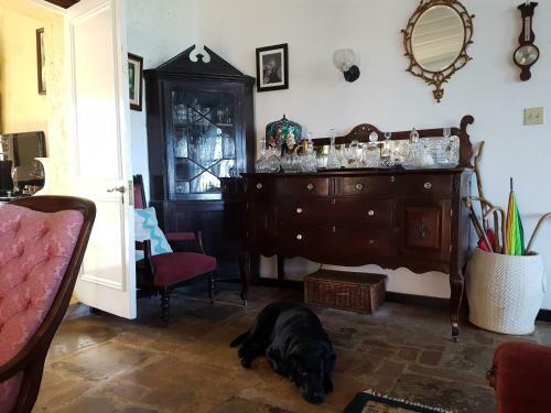 Posada Geddes Great House