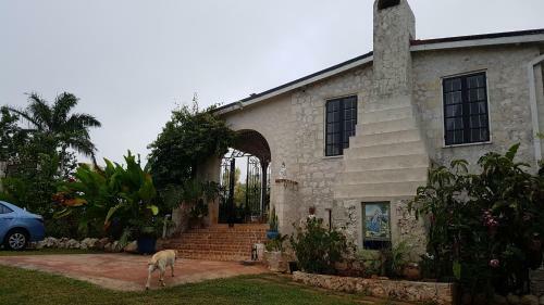 Posada Geddes Great House