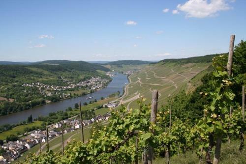 Hostal Kathi's Wein- & G�stehaus