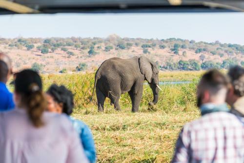 Hotel Chobe Marina Lodge