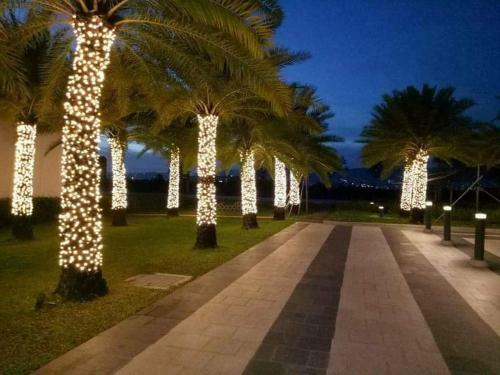 Apartamentos San Remo Oasis