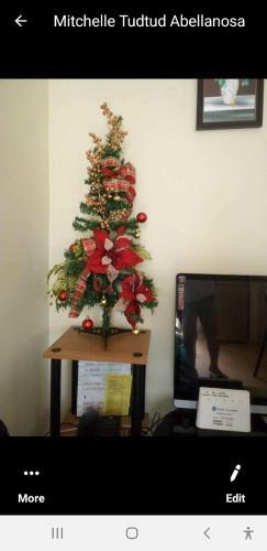 Apartamentos San Remo Oasis