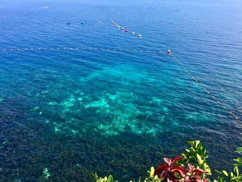 Hotel Almira Diving Resort