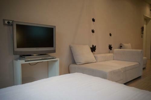 Apartment Metropol