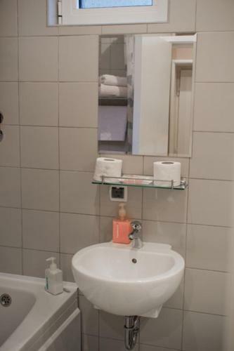 Apartment Metropol