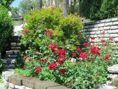 Apartamento Appartamenti Arca & Ca' Mure