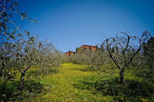 Bed & Breakfast Podere Benintendi