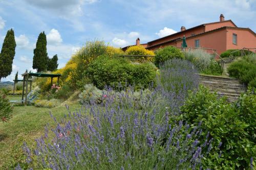 Bed & Breakfast Podere Benintendi