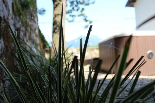 Bed & Breakfast Essentia Guest House