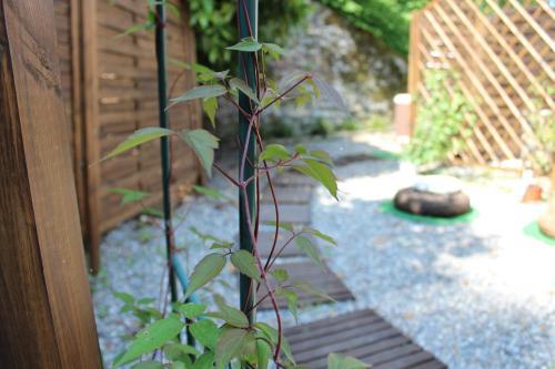 Bed & Breakfast Essentia Guest House