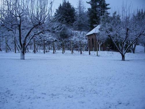 Lodge Caba�as Y Bodega Fraschetti - Niuke