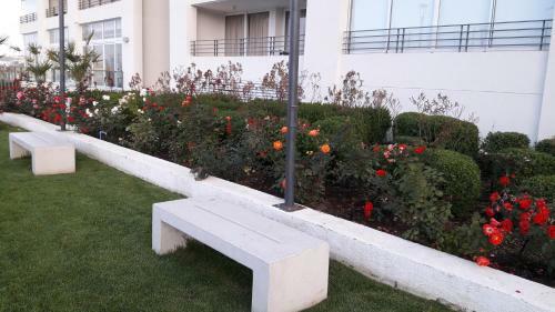 Apartamento Departamento Costa de Montemar