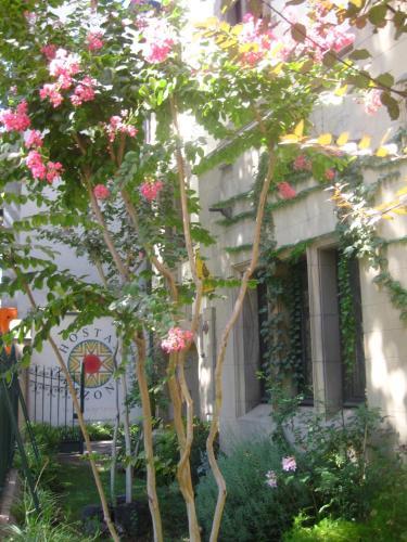 Bed & Breakfast Hostal Rio Amazonas