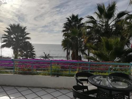 Apartamento Edificio Playa Para�so