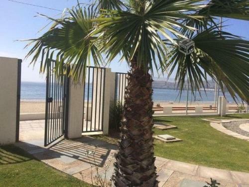 Apartamento Condominio Bah�a Horizonte