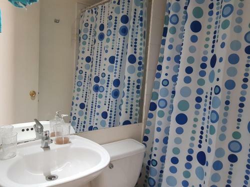 Apartamento Departamento Paseo Bulnes
