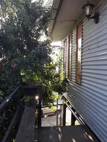 Apartamento Departamento Valdivia