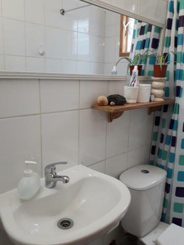 Apartamento Departamento Valdivia