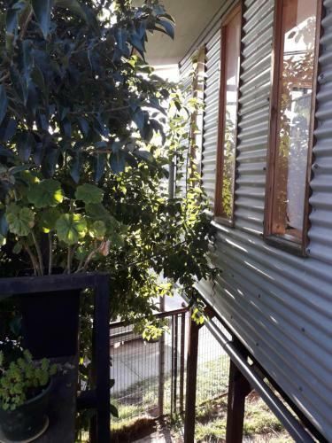 Apartamento Departamento Valdivia