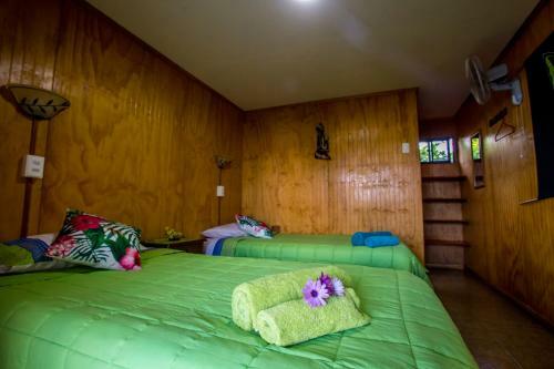 Lodge Hostal Y Caba�as Tojika