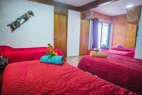 Lodge Hostal Y Caba�as Tojika