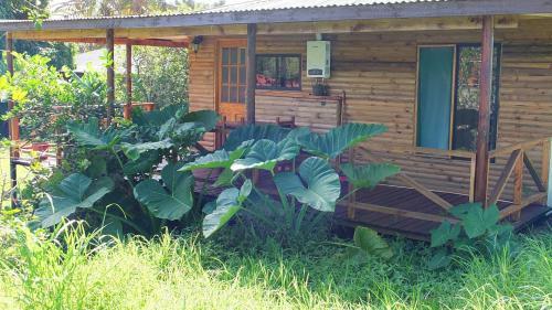 Lodge Caba�as Akiko