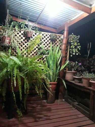 Lodge Caba�a Hare Moana