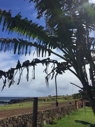 Lodge Caba�as Anavai Rapa Nui