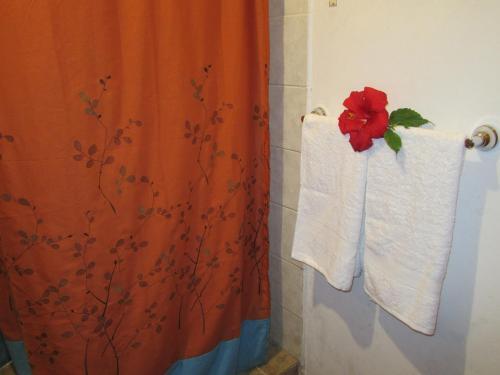 Lodge Villa Hua�ai (Tera�ai)