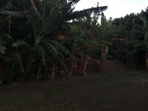 Agroturismo Hare Ngaoho