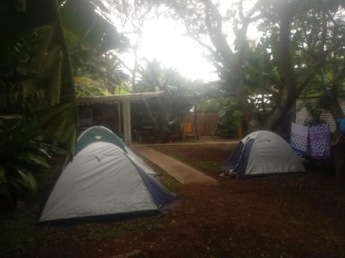 Moehiva