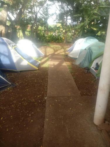 Moehiva