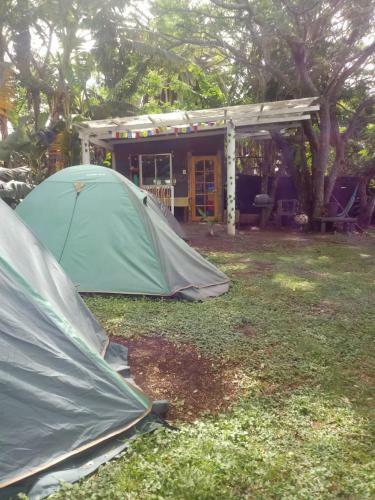 Moehiva
