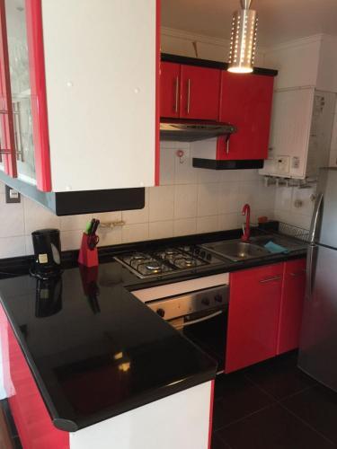 Apartamento Departamento Puc�n