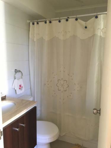 Apartamento Parque Del Volcan Pucon
