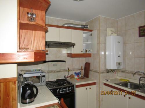 Apartamento Departamento En Pucon