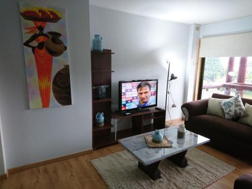 Apartamento Departamento Centro Puc�n