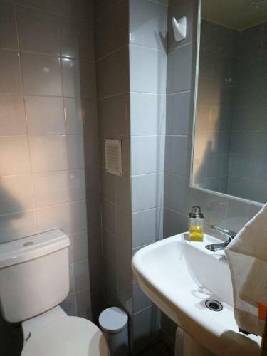 Apartamento Departamento Centro Puc�n