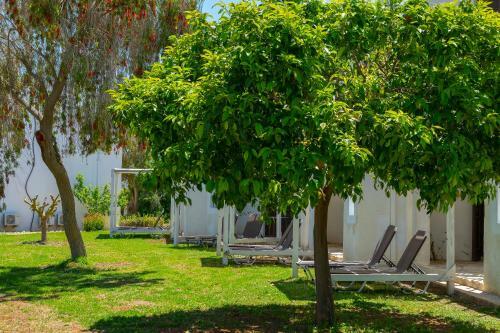 Hotel Latchi Family Resort