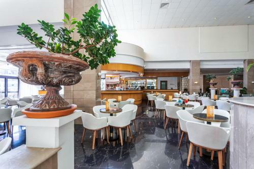 Hotel Louis Phaethon Beach - All Inclusive